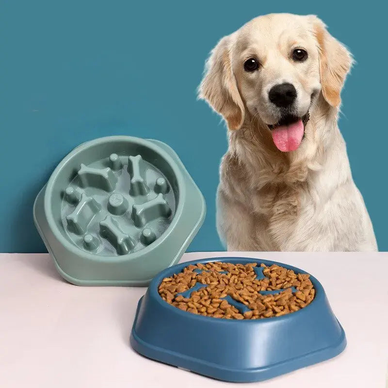 Digestive Aid  Feeder Bowl