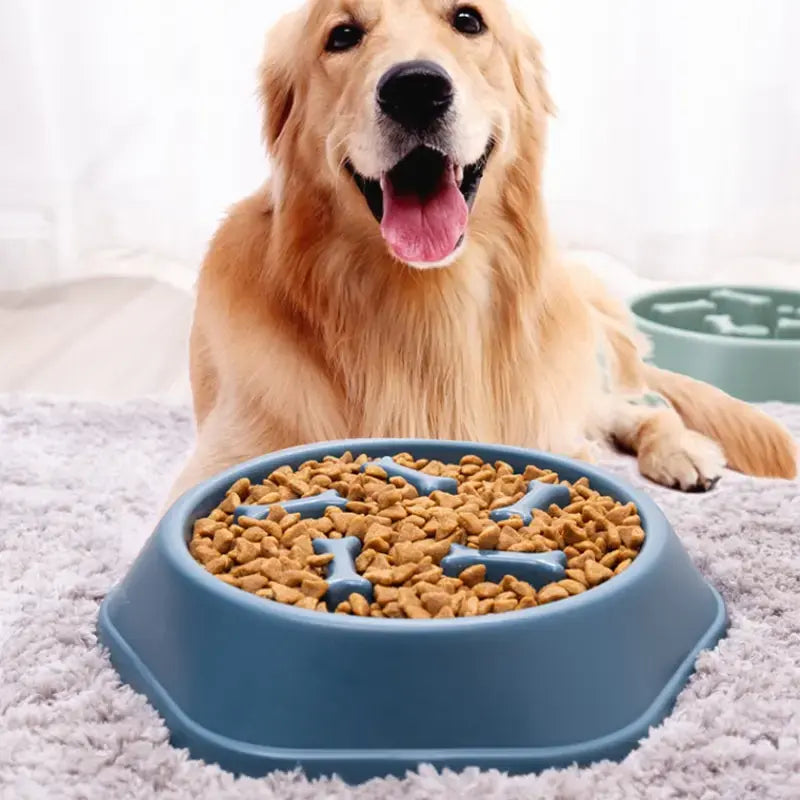 Digestive Aid  Feeder Bowl