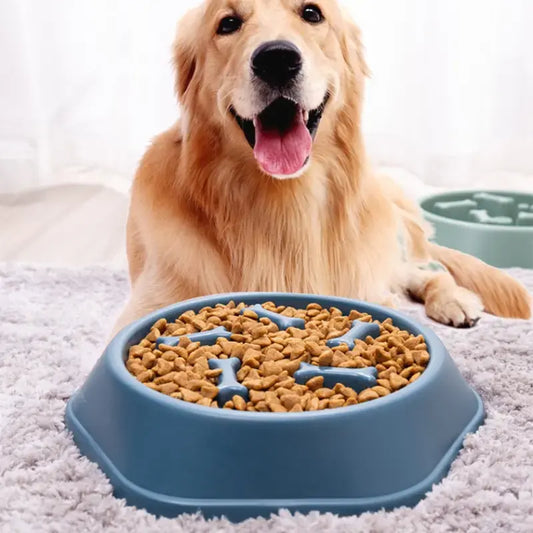 Digestive Aid  Feeder Bowl