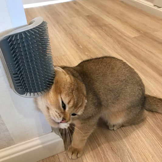 Cat Self Groomer W/ Catnip